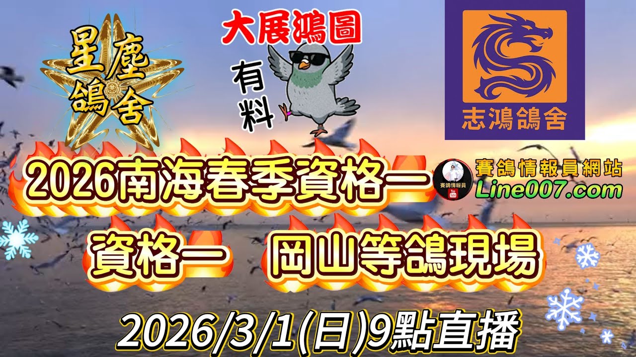 2026南海春季競翔資格一：志鴻鴿舍天翔等鴿現場