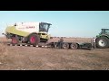 LEXION 580 Погрузка мертвого кобайна на трал трактором