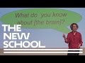 Plenary Session by Sarah Lynn: Brain-Based Approaches to Teaching | The New School