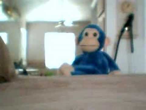 code monkey theme song