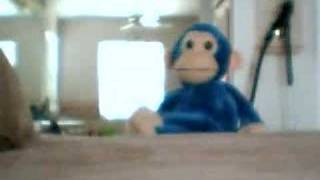 code monkey theme song