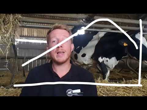 Vidéo: Gestion De La Reproduction Chez Les Vaches Laitières - L'avenir