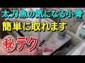 釣れた大量の太刀魚をさばく!【69本目】
