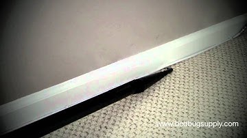 Kill Bed Bugs with Steam on a Baseboard