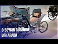 Üç Beygir Gücünde Bir Araç