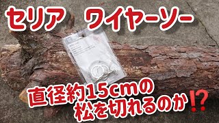 セリア  ワイヤーソーで約15cmの松が切れるのか⁉️