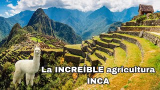 La INCREÍBLE agricultura INCA