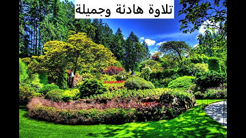 سورة التوبة تلاوة جميلة