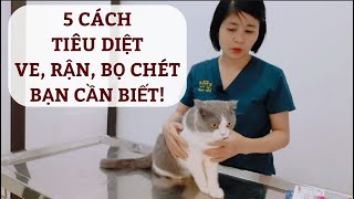 5 cách để loại bỏ ve, rận, bọ chét trên chó mèo