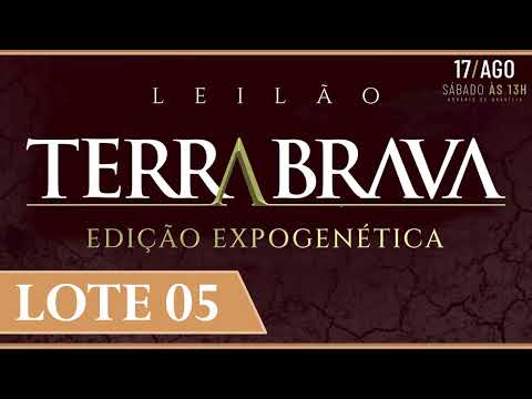 LOTE 05    EPCF 5910