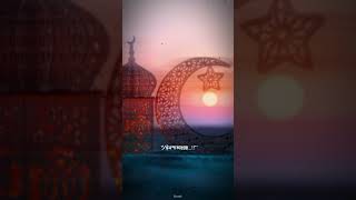 Islamic Shorts Video