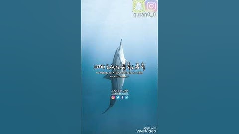 القارئ طارق محمد/سورة البقرة/♥♥ وبشر الصابرين♥♥