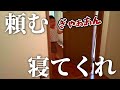 全然お昼寝せず風邪をひいた2歳児【サスケくん】