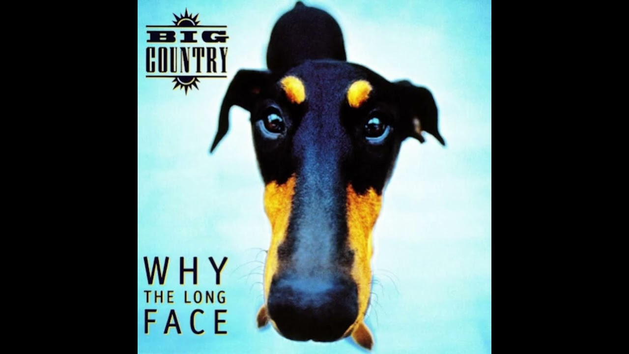 🎸🎸RIP STUART ADAMSON | BIG COUNTRY | WHY THE LONG FACE FULL