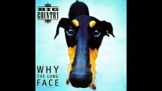 RIP STUART ADAMSON | BIG COUNTRY | WHY THE LONG FACE FULL ALBUM 1995