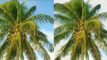 Photoshop Tutorial : How To Cut Out an Image & Remove/Delete a Background Photoshop CS6/CC