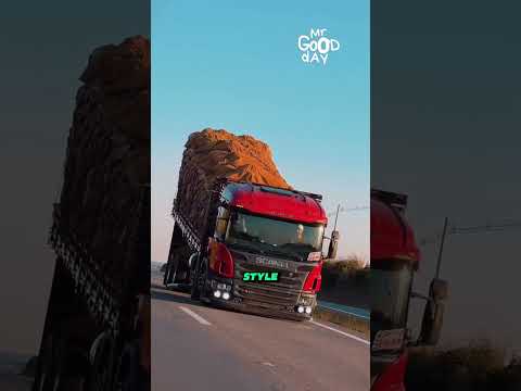 Why Brazilian Trucks Look Like They’re Climbing a Hill #shorts