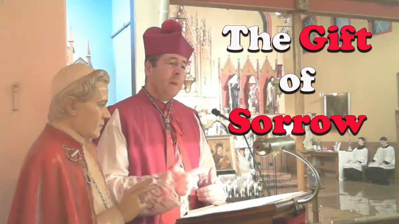 Bishop McGuire:  The Gift of Sorrow