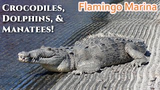 My First Full Day In Everglades National Park