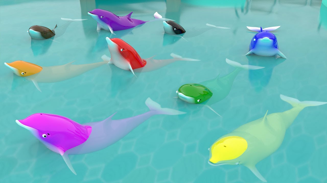 Learn Colors Dolphins Learn Color for Children Kids Educational Video ...