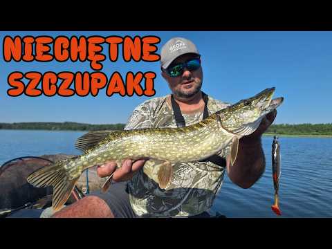 THREE DAYS searching for PIKE on an underwater drop-off / ep. 268