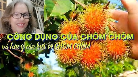 CÔNG DỤNG CỦA CHÔM CHÔM CÓ MÂÝ AI BIẾT/ LƯU Ý KHI ĂN CHÔM CHÔM
