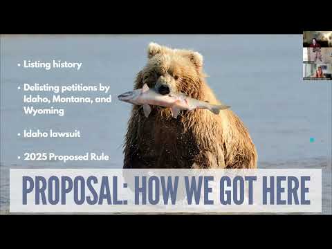 Rally for the Grizzly