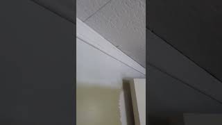 Crown Molding HACK.  Use Door Casing! #shorts