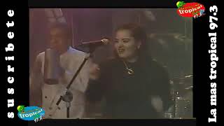 Los gatos negros - lágrimas de escarcha