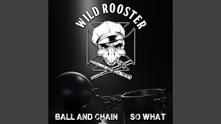 Video thumbnail of "Wild Rooster - So What"