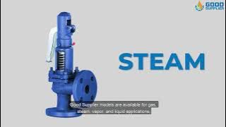 Pressure Safety Relief Valve | Good Supplier's | is for high-Pressure Severe Service Applications