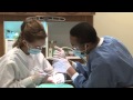 Dental Services at CommunityHealth