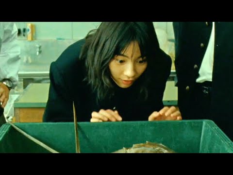 のん、カブトガニに大興奮!磯村勇斗がザワつく/映画『さかなのこ』本編映像/さかなクンもギョギョおじさん役で登場