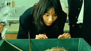 のん、カブトガニに大興奮！磯村勇斗がザワつく／映画『さかなのこ』本編映像／さかなクンもギョギョおじさん役で登場