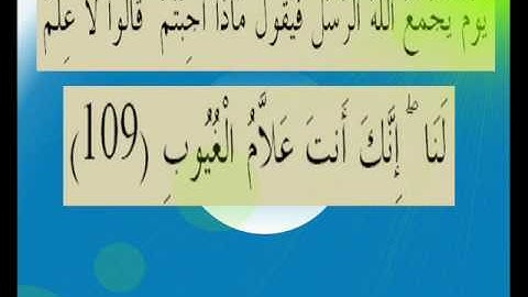 القران الكريم سورة المائدة الأية 109.wmv