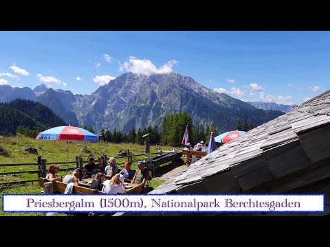 Die schönsten Almen: Priesbergalm (1500 m), Nationalpark Berchtesgaden