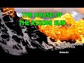 Karaoke: The House of the Rising Sun - The Animals 🎤
