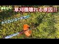 草刈りナイロンコードで壊れる原因‼︎