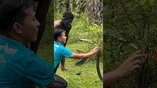 Ookoakanabe Duduk Weh