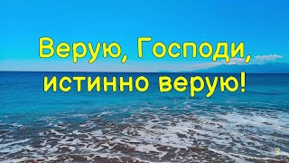 Верую, Господи, истинно верую! - Христианские песни - 591