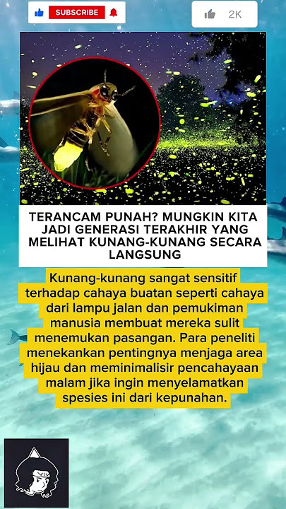 Di tempatku sudah hampir tidak lihat kunang kunang Untuk saat ini 😐 #trendingshorts #viralshorts