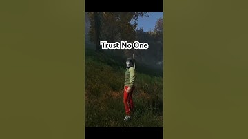 Trying to be friendly in DayZ gone wrong #dayz #chernarus #gaming #friendly