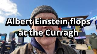 Albert Einstein Flops In Curragh Prep Race For 2,000 Guineas Terry Gorry Vlog