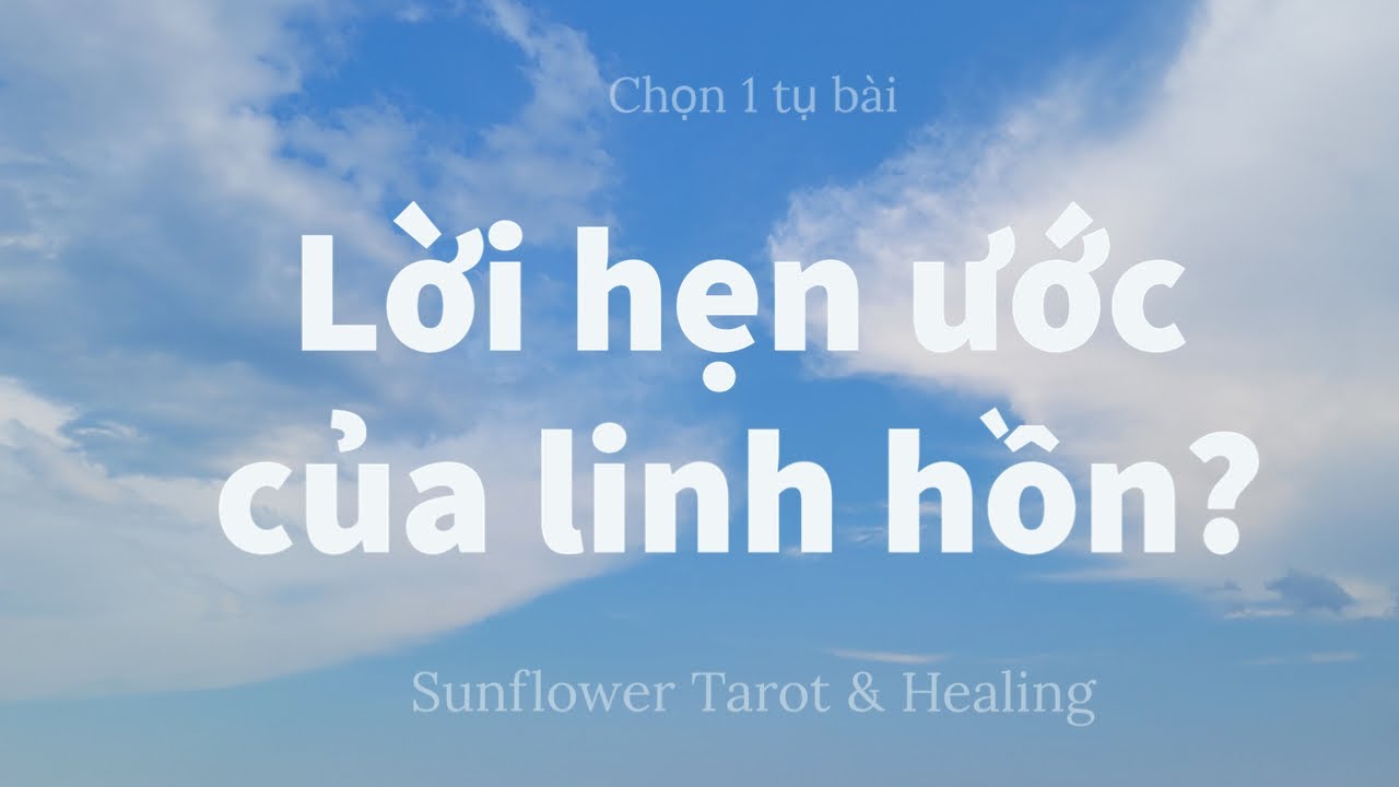 Chọn 1 tụ bài - Lời hẹn ước của linh hồn?