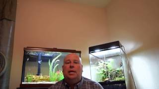 Baixar Eco-Bio-Block Review