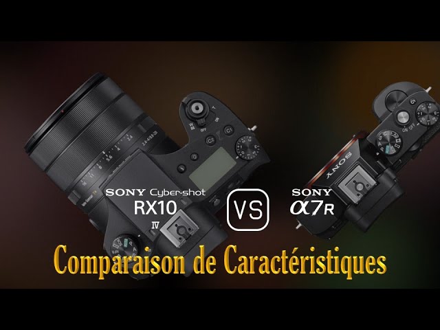 Sony Cyber-shot RX10 IV vs. Sony A7S: Une Comparaison de