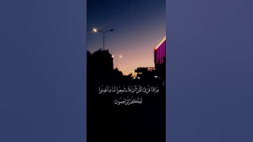 تلاوه طيبه للقارئ :محمد حسين عامر 🌱#quran رحمه الله
