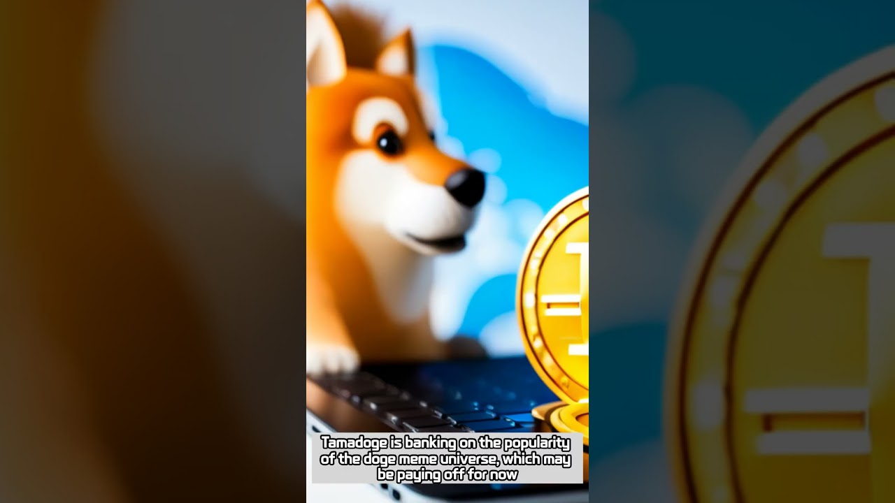 Tamadoge - Daily NFT