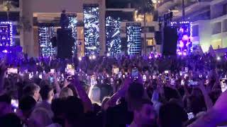 Pawsa At Five In Dubai - 7Th November 2025 - Too Cool To Be Careless