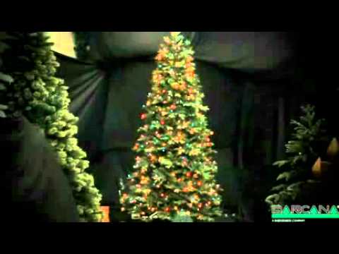 the-i-tree!